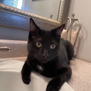 Meet your Posher, Heidi